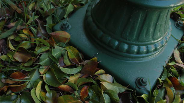 istock Green street light base surrounded by colorful fallen leaves 1276709571