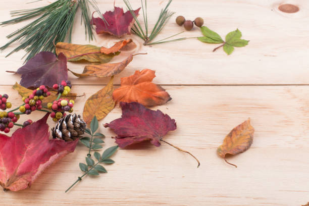 istock fallen leaves on wooden background, top view. 1276709837