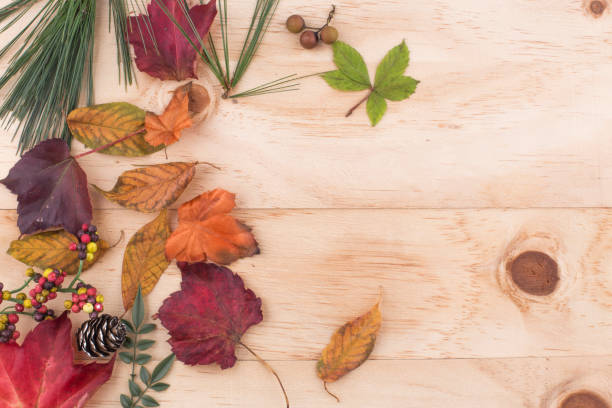istock fallen leaves on wooden background, top view. 1276710497
