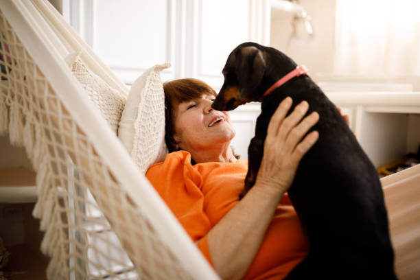 istock Senior woman on hammock with her dog 1276711680