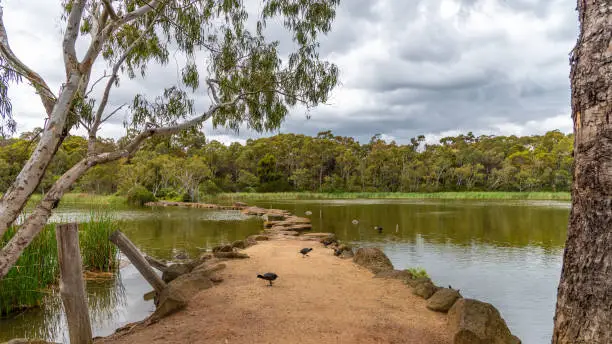 Photo of Newport lake, the area was created from a former Bluestone Quarry and is a Sanctuary for Waterbirds & Wildlife.