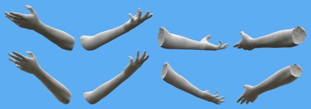 istock 8 white concrete statue hand renders isolated on blue, lights and shadows distribution example for artists or painters - 3d illustration of objects 1276713718