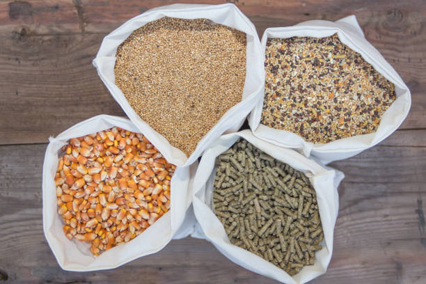 overhead view of bags with grains and pellets for sale at the forage overhead view of bags with grains and pellets for sale at the forage oat crop photos stock pictures, royalty-free photos & images