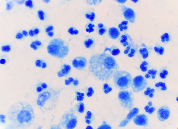 istock Blue white blood cell in body fluid sample medical background. 1276716355