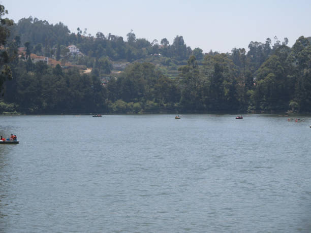 istock Small lake in Ooty Tamilnadu India 1276720094