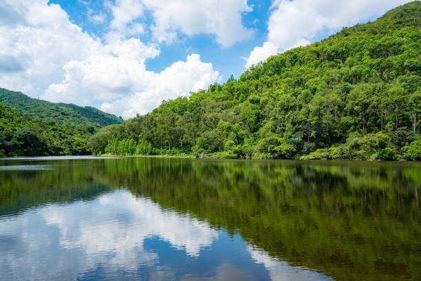 beautiful lake in lau shui heung reservoir in hong kong - woods reflection famous place standing water imagens e fotografias de stock