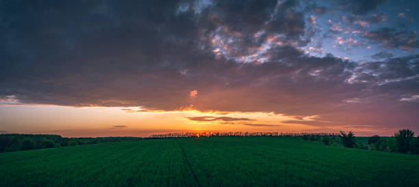 istock Fields landscape in summer sunset and sunrise 1276730669
