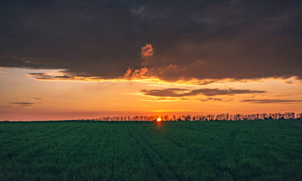 istock Fields landscape in summer sunset and sunrise 1276731491