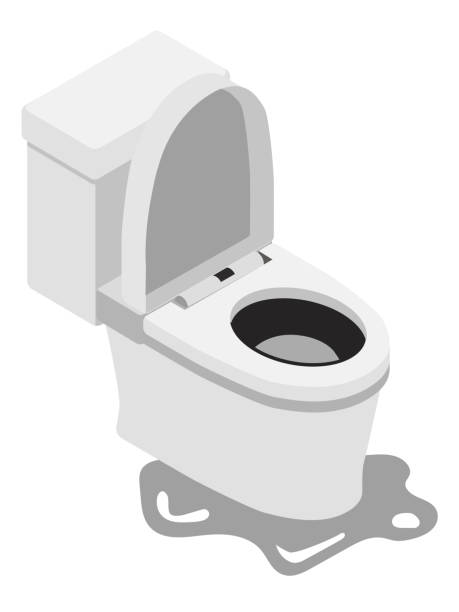 istock Western-style toilet with water leaking to the floor 1276735495
