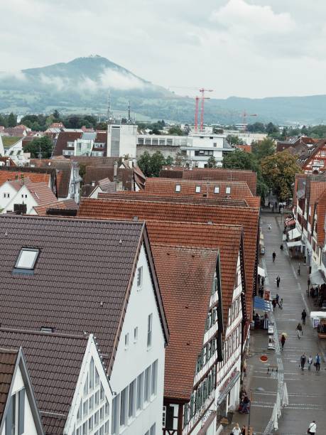 istock The city at the tree level. 1276737494