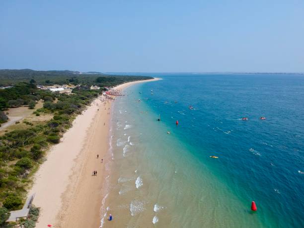 istock Beach aerial view - swimming competition 1276744754