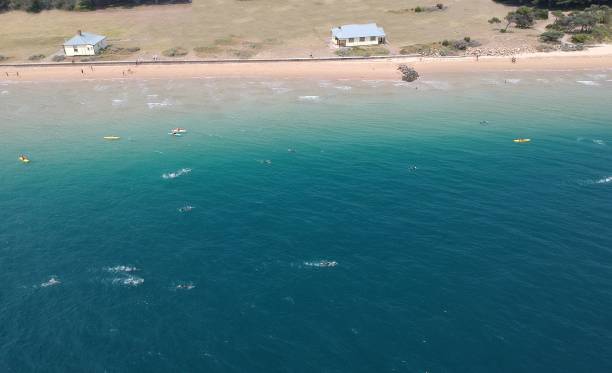 istock Beach aerial view - swimming competition 1276744768