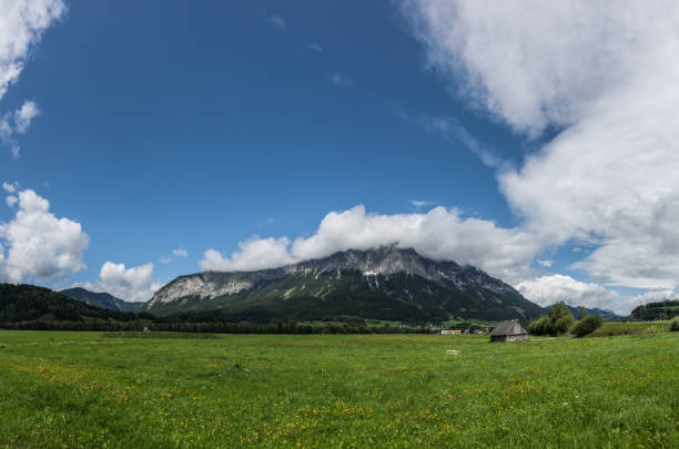 istock green flower meadow and a mountain with blue sky panorama 1276746874