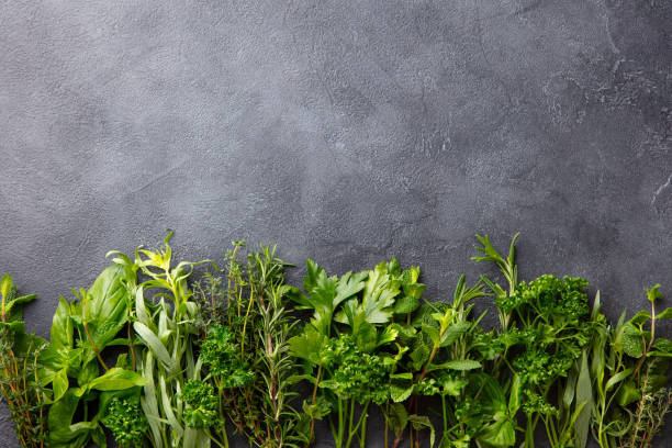 istock Assortment of fresh herbs. Grey background. Copy space. Top view. 1276748646