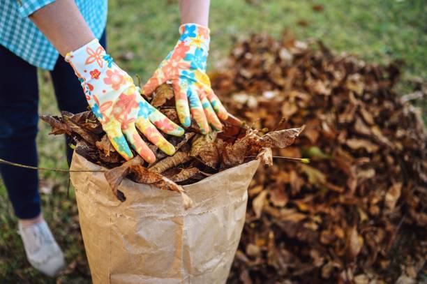 istock Somebody putting autumn leaves in a bag 1276749511