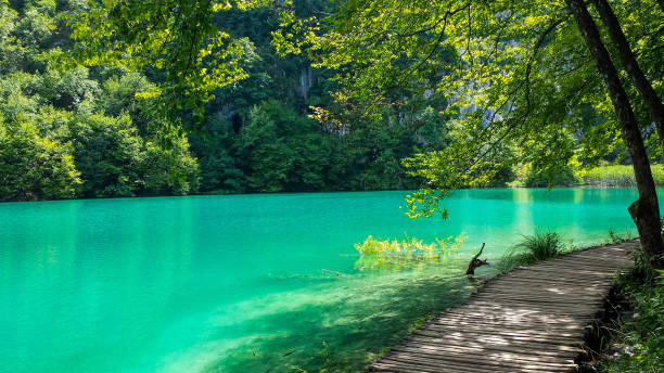 istock Walk along croatian national park 1276750547