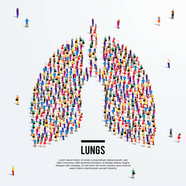 Lungs respiratory concept. Large group of people form to lung. Vector illustration. Lungs respiratory concept. Large group of people form to lung. Vector illustration. infographic silhouettes stock illustrations