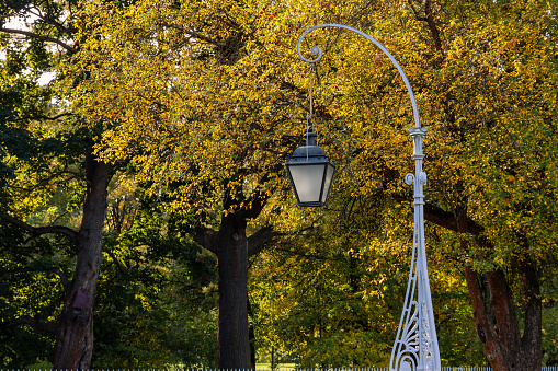 Elegant classic vintage street lamp in retro style on a background of yellow autumn foliage in the park