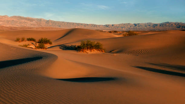istock Eureka Dunes Dry Camp, suothwest USA sand 1276755891