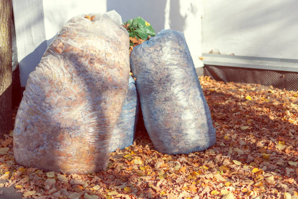 istock Autumn fallen leaves picked in big plastic  trash bags 1276760242