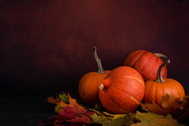 istock Ripe organic orange pumpkins over fall leaves on a dark background. 1276761203