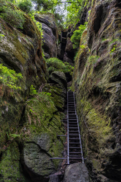 istock wild hell trail in saxon switzerland, germany 1276763680