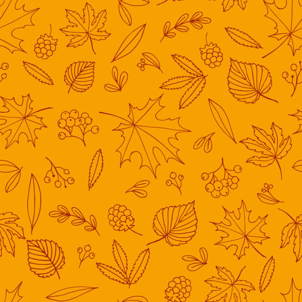 Autumn leaves pattern. Thanksgiving seamless background with various leaves and berries. Autumn leaves pattern. Bright seamless Thanksgiving background with various leaves and berries. sprout background stock illustrations