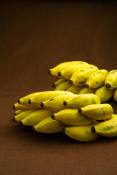 dois cachos de frutas de banana em um fundo fosco - breakfast close up vegetarian food nature - fotografias e filmes do acervo