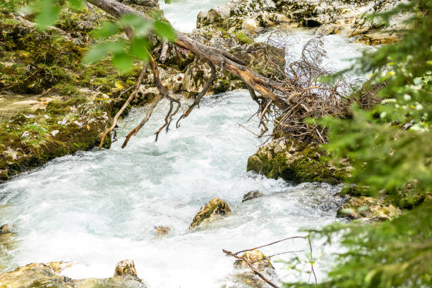 istock water running down the leutaschklamm (leutash gorge) in bavaria, germany 1276765179