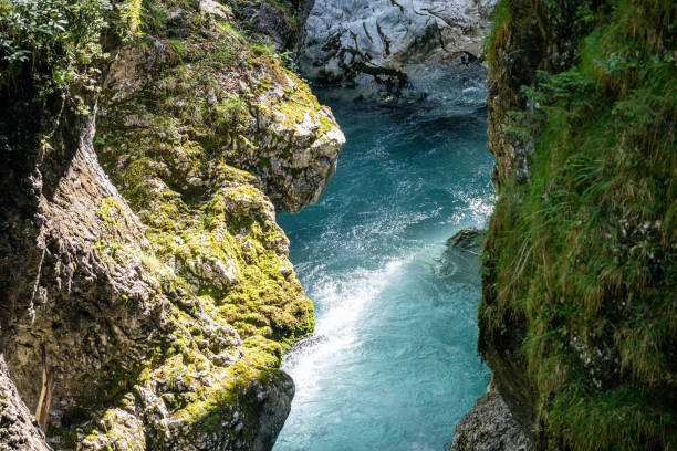 istock water running down the leutaschklamm (leutash gorge) in bavaria, germany 1276765878