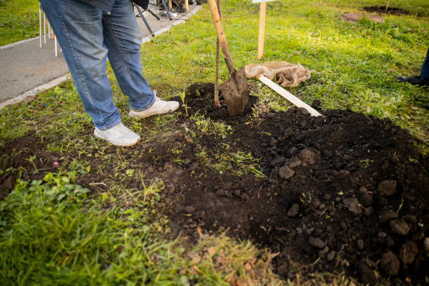 istock Man with a shovel planting young trees in the park 1276767507