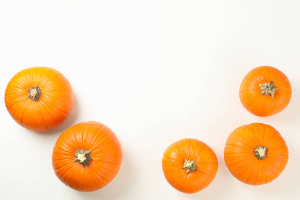 istock Pumpkins on white background, top view and space for text 1276767745