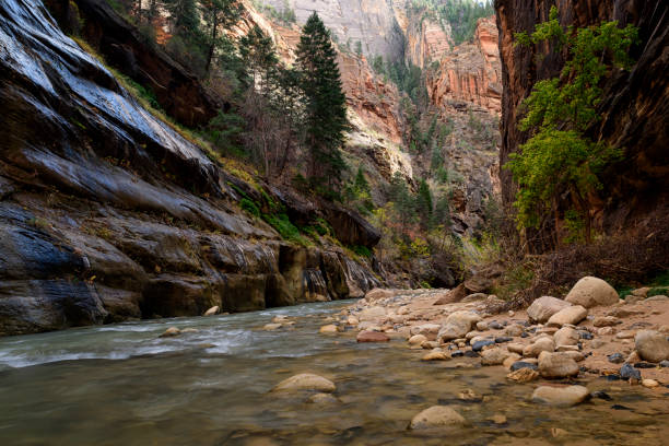 istock Narrows riverside walk Zion National Park 1276768461