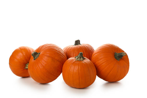 istock Group of pumpkins isolated on white background 1276769779