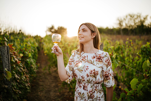 A young woman enjoys drinking wine in the vineyard