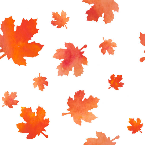 padrão de costura com folhas - maple tree autumn textured leaf - fotografias e filmes do acervo