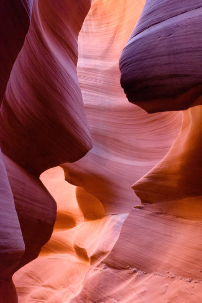 istock Lower Antelope Canyon or The Corkscrew 1276777631