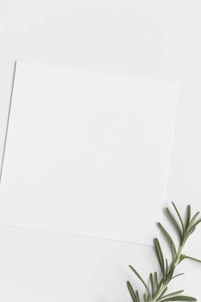istock Invitation square card mockup with a rosemary. 1276780023