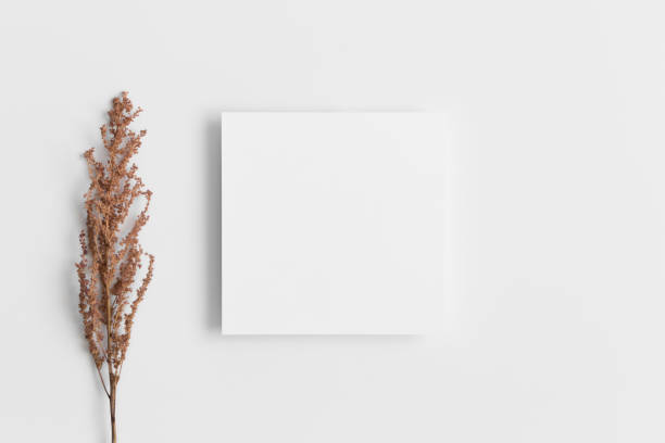 istock Invitation square card mockup with a dry flower. 1276780155