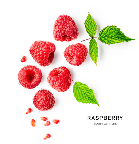 raspberries and leaves creative layout - framboesa imagens e fotografias de stock