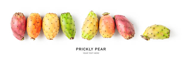 Prickly pear cactus fruits creative banner Prickly pear fruits creative banner isolated on white background. Healthy food and dieting concept. Tropical cactus fruit composition and border. Top view, flat lay prickly pear cactus stock pictures, royalty-free photos & images