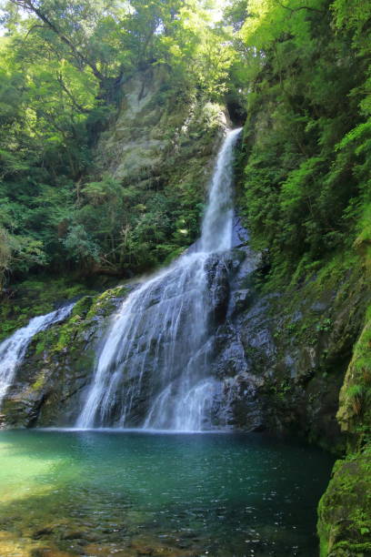 istock Kochi Prefecture waterfall, flying dragon waterfall, summer (Kochi Prefecture Yasui Valley) 1276785773