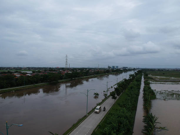 istock The flood inundated the rice fields 1276787448