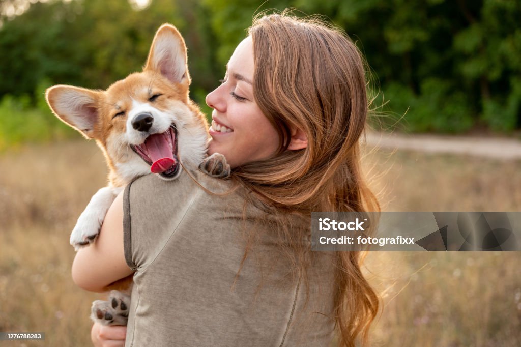 Portrait: young woman with laughing corgi puppy, nature background Portrait: young woman with corgi puppy, nature background Dog Stock Photo
