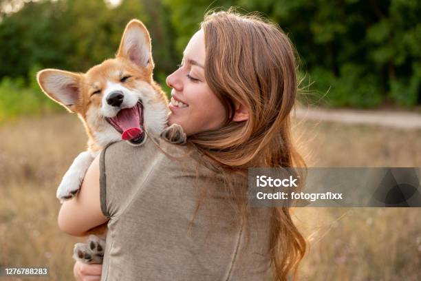Portrait Young Woman With Laughing Corgi Puppy Nature Background Stock Photo - Download Image Now