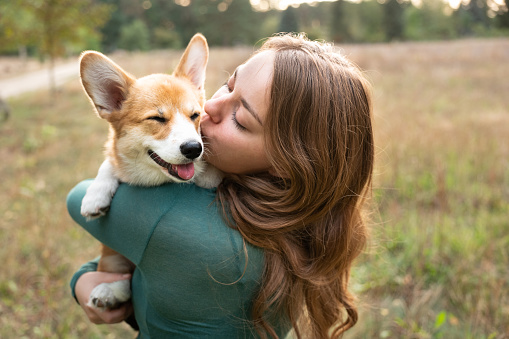 Portrait: young woman with corgi puppy, nature background