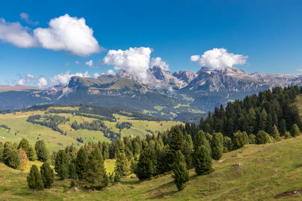 istock View over Seiser Alm, Alpe di Siusi, South Tyrol 1276788431