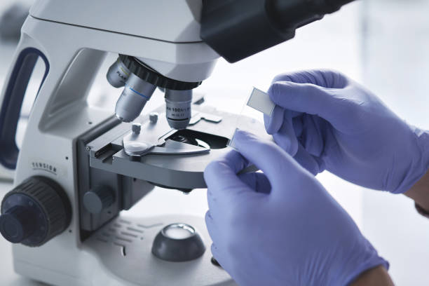 istock Scrutinising a new specimen 1276789634