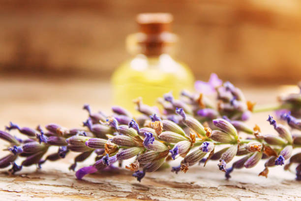 istock Lavender essential oil in a small bottle. Selective focus. 1276789930