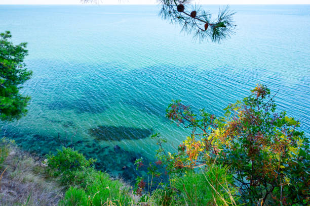 istock Beautiful shallow sea with vegetation around bay 1276790055